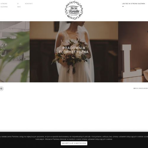 Oświetlenie wesela cena Kraków