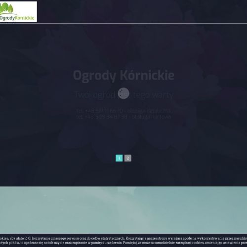 Poznań - trawy ozdobne szkółka