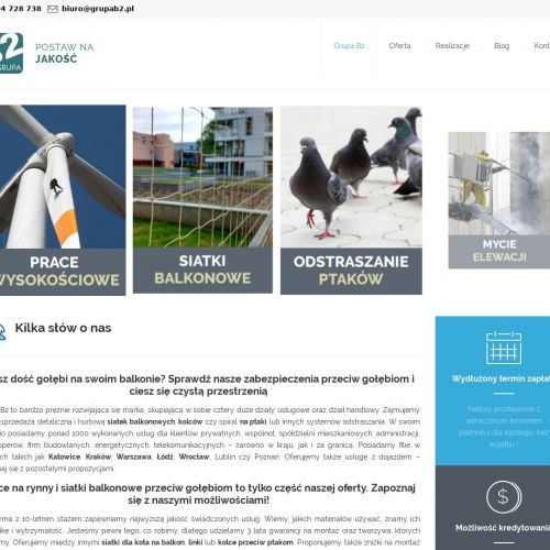 Siatka dla kota Wrocław