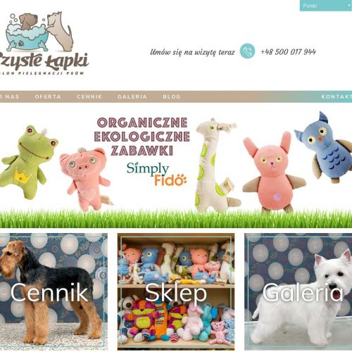 Hodowla west highland white terrier w Warszawie