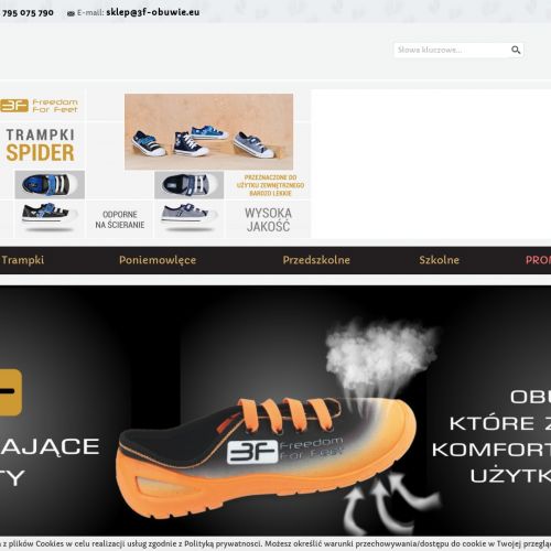 Producent tenisówek