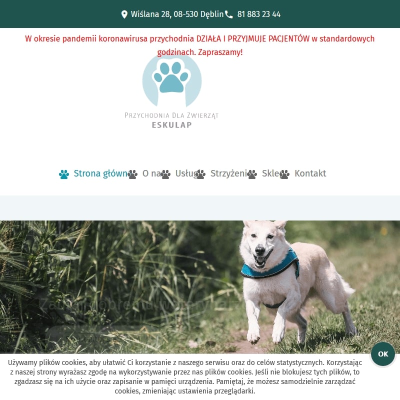 Dęblin - gabinet weterynaryjny