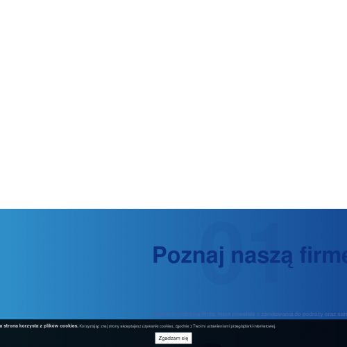 Volkswagen grand california wypożyczalnia - Katowice