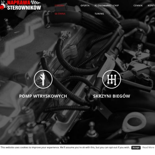 Naprawa sterowników opel - Kraków