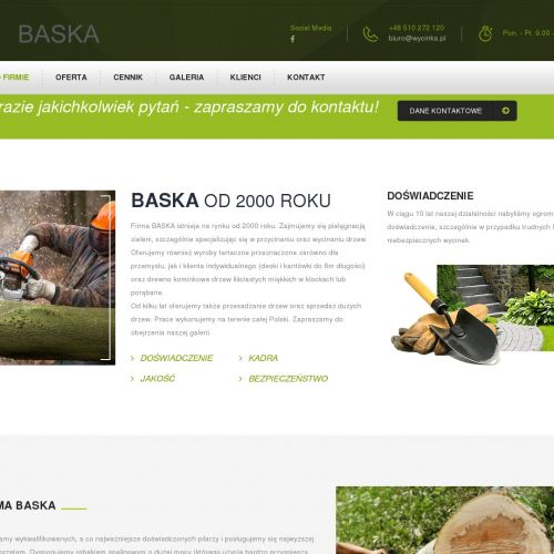 Wycinka drzew - Tychy