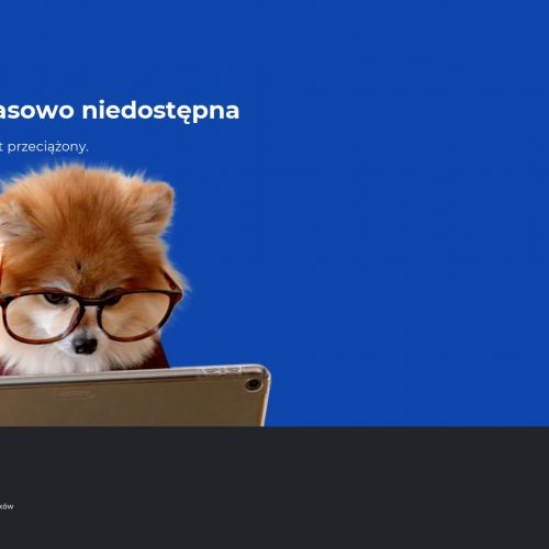 Warszawa - dezynsekcja