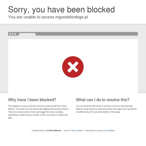 Profesjonalny szarpak dla psa