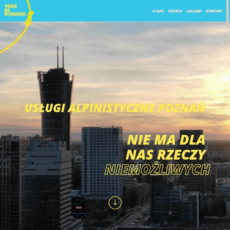 Alpinistyczna wycinka drzew - Poznań